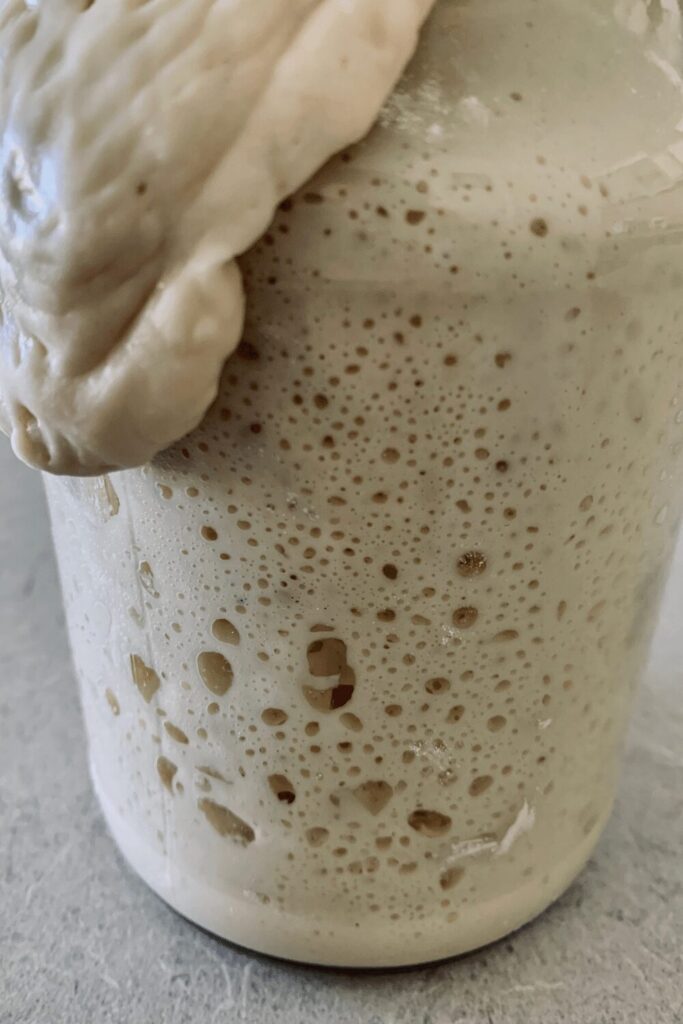 Secret to sourdough success - a super active bubbly sourdough starter