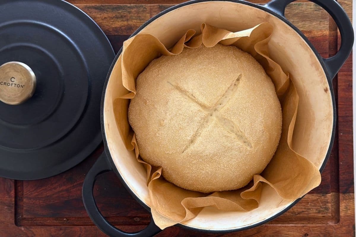 A sourdough discard loaf that has been scored on the top with a cross and placed into a hot Dutch oven. The pot is cream enamel inside and has a black lid that is sitting next to it. 