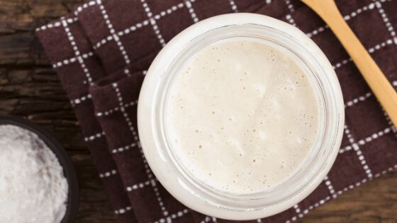 How To Store Sourdough Starter