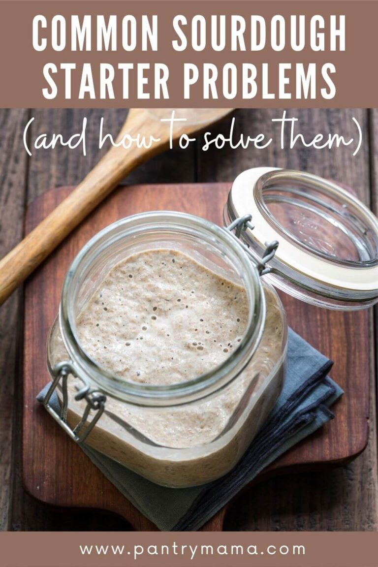 30-common-sourdough-starter-problems-sourdough-starter-troubleshooting