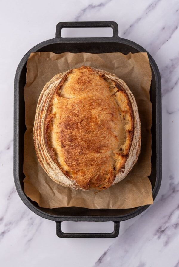 An oval loaf of sourdough bread that has fantastic oven spring. It is sitting in the base of a cast-iron bread pan on a marble kitchen counter.