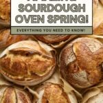 The secret to amazing sourdough oven spring - Pinterest Image