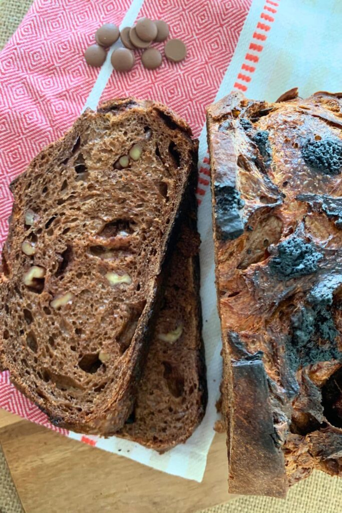 Overhead photo of chocolate walnut sourdough bread laid out on a red and white dish towel.