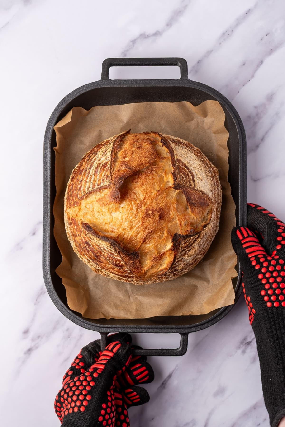 A round loaf of sourdough bread sitting on a slice of parchment paper in a cast-iron bread pan. There are a pair of red and black high heat gloves holding the pan in the image.