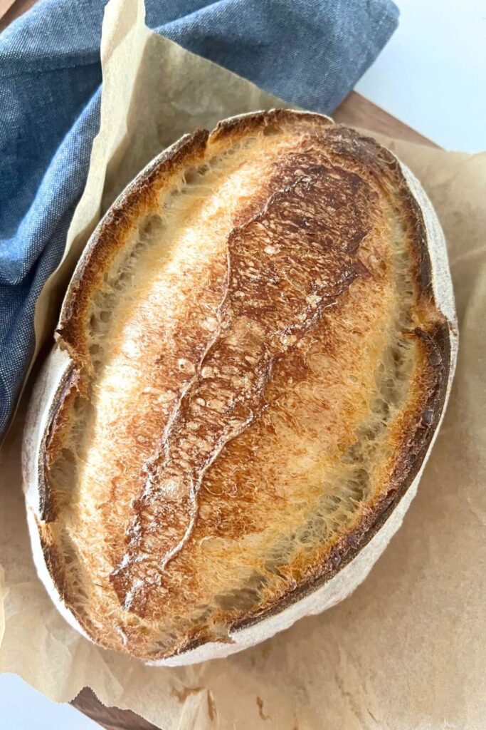 A large oval loaf of sourdough with a double sourdough ear that has been created by scoring down the centre of the loaf.