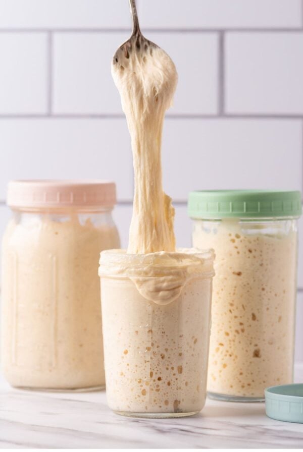 3 jars of sourdough starter grouped together. The one on the left has a pale pink lid, the one in the middle is being pulled out of the jar with a spoon and the one on the right has a green lid.