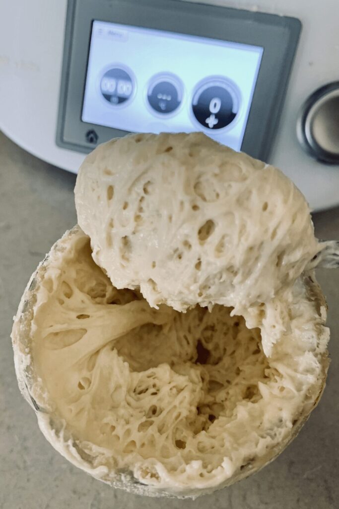 Thermomix Sourdough