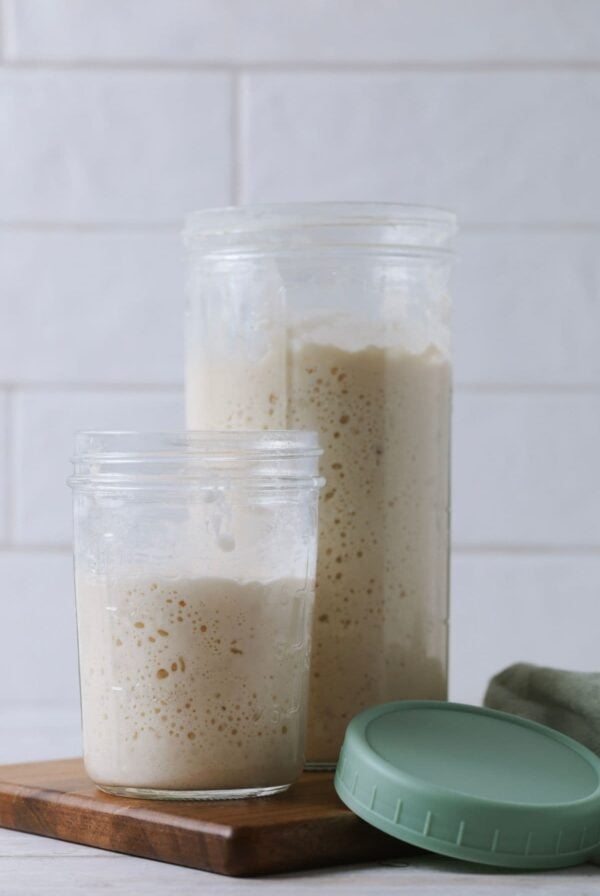 2 jars of sourdough starter. The jar on the left is much smaller than the jar on the right. Both contain bubbly, active sourdough starter. There is a pale green lid sitting in front of the jar on the right.