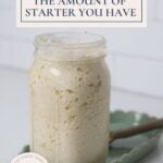 How to increase the amount of sourdough starter you have - Pinterest Image