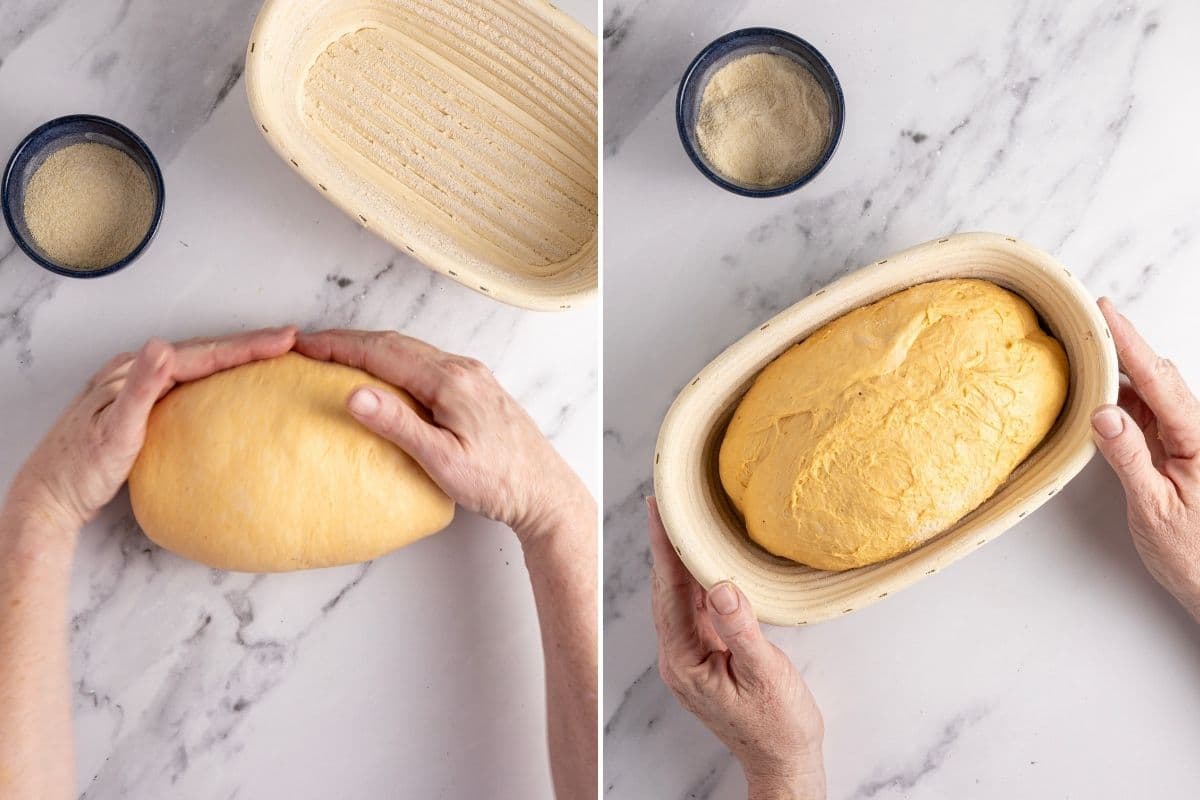 2 vertical images side by side. The left photo shows a pair of hands adding tension to the shaped batard by pulling it towards them. The photo on the right shows the artisan pumpkin loaf that has been placed into an oval banneton.