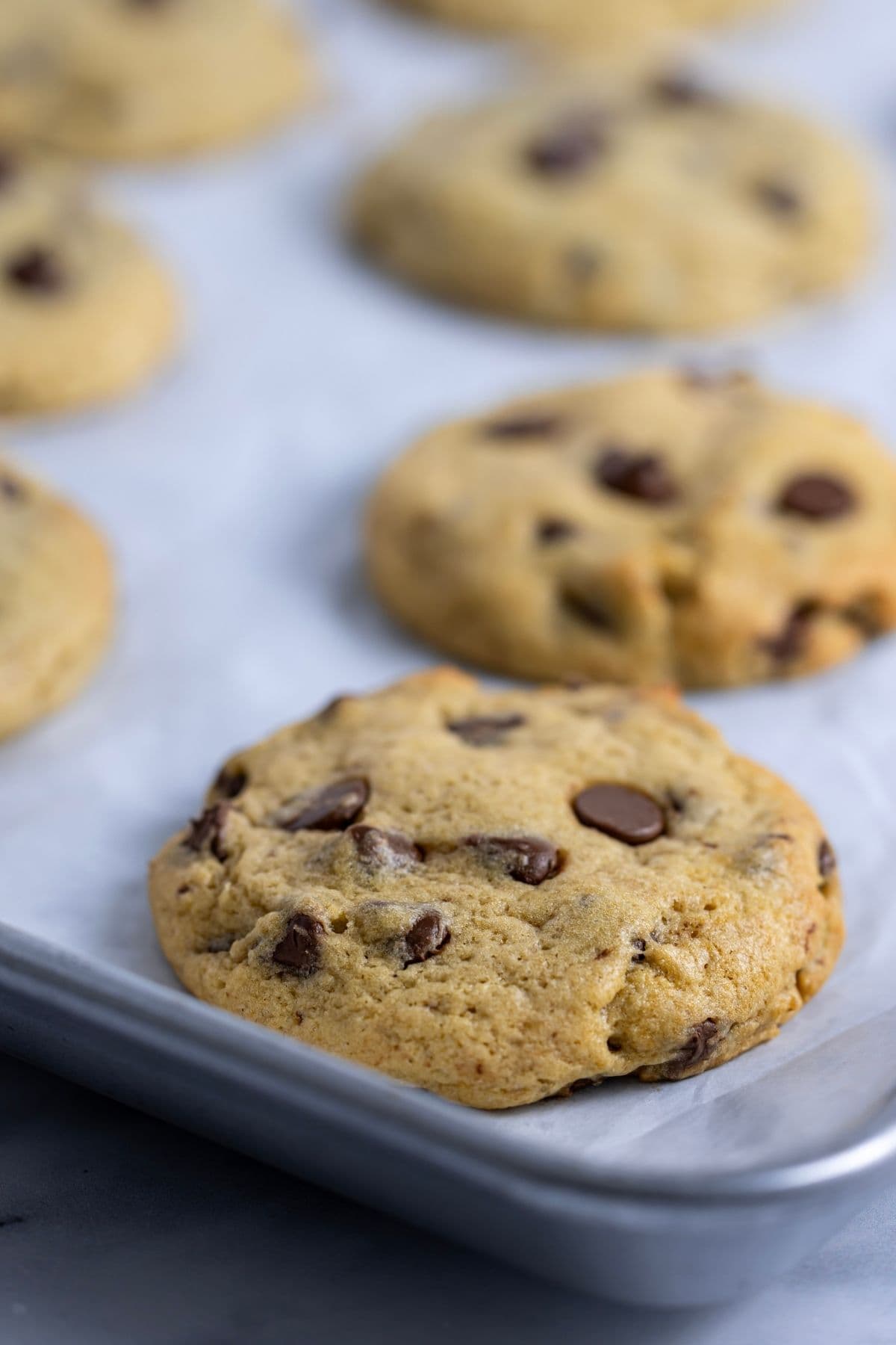 A close up photo of sourdough chocolate chip cookies that have been taken out of the oven and left on the tray to cool.