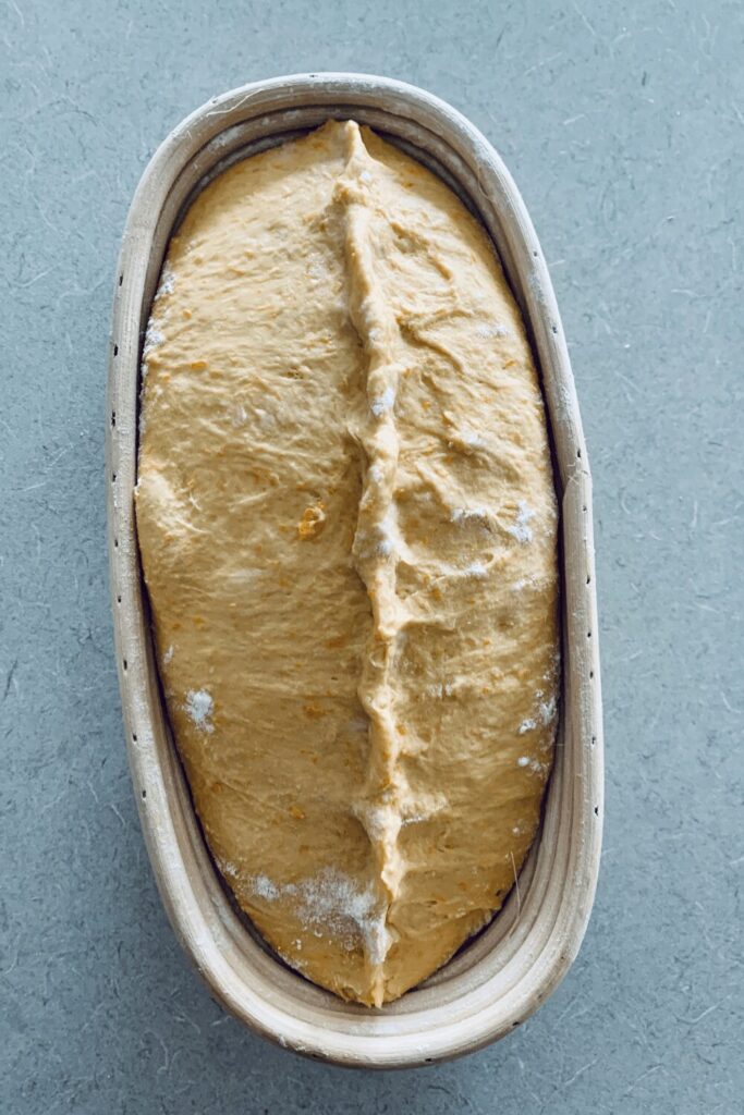 Shaping pumpkin sourdough bread