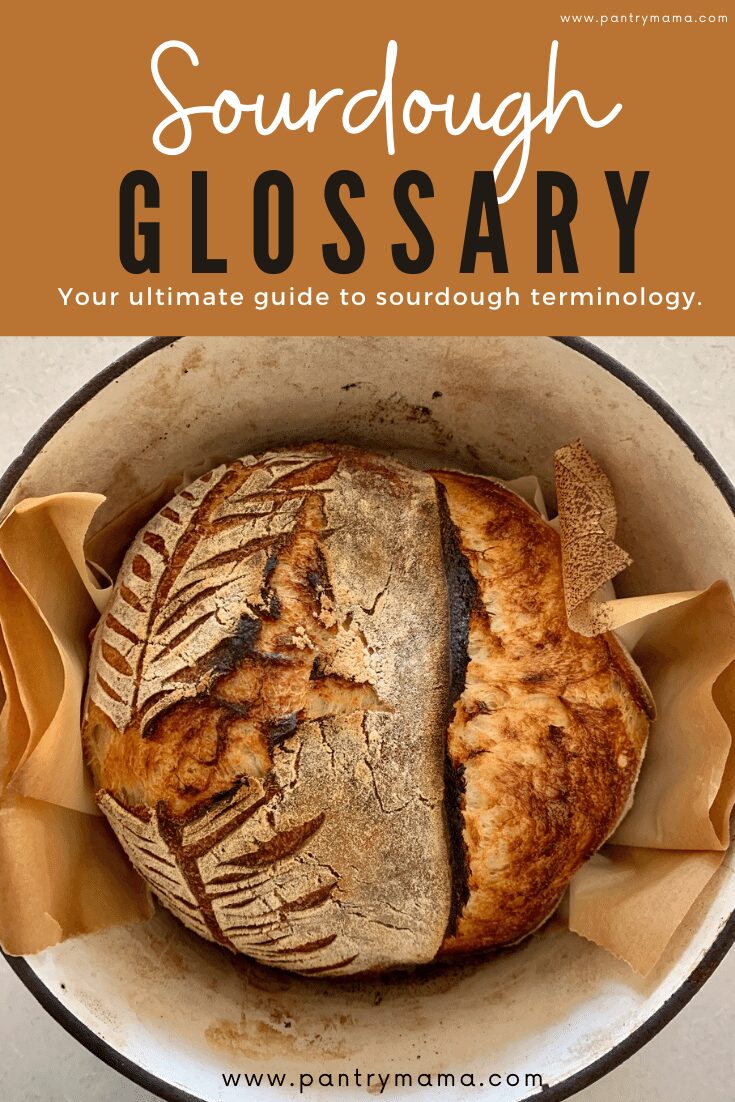 Sourdough Glossary: 54 Sourdough Bread Terms Explained - The Pantry Mama