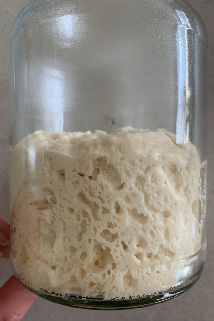 Convert sourdough starter to Pasta Madre or Lievieto.