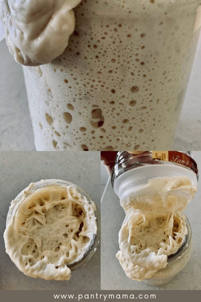 When is sourdough starter ready to bake with? Signs of readiness for a sourdough starter.