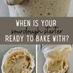 When is your sourdough starter ready to bake with?