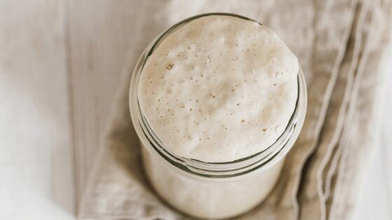 how-do-you-know-when-your-sourdough-starter-is-ready-to-bake-with