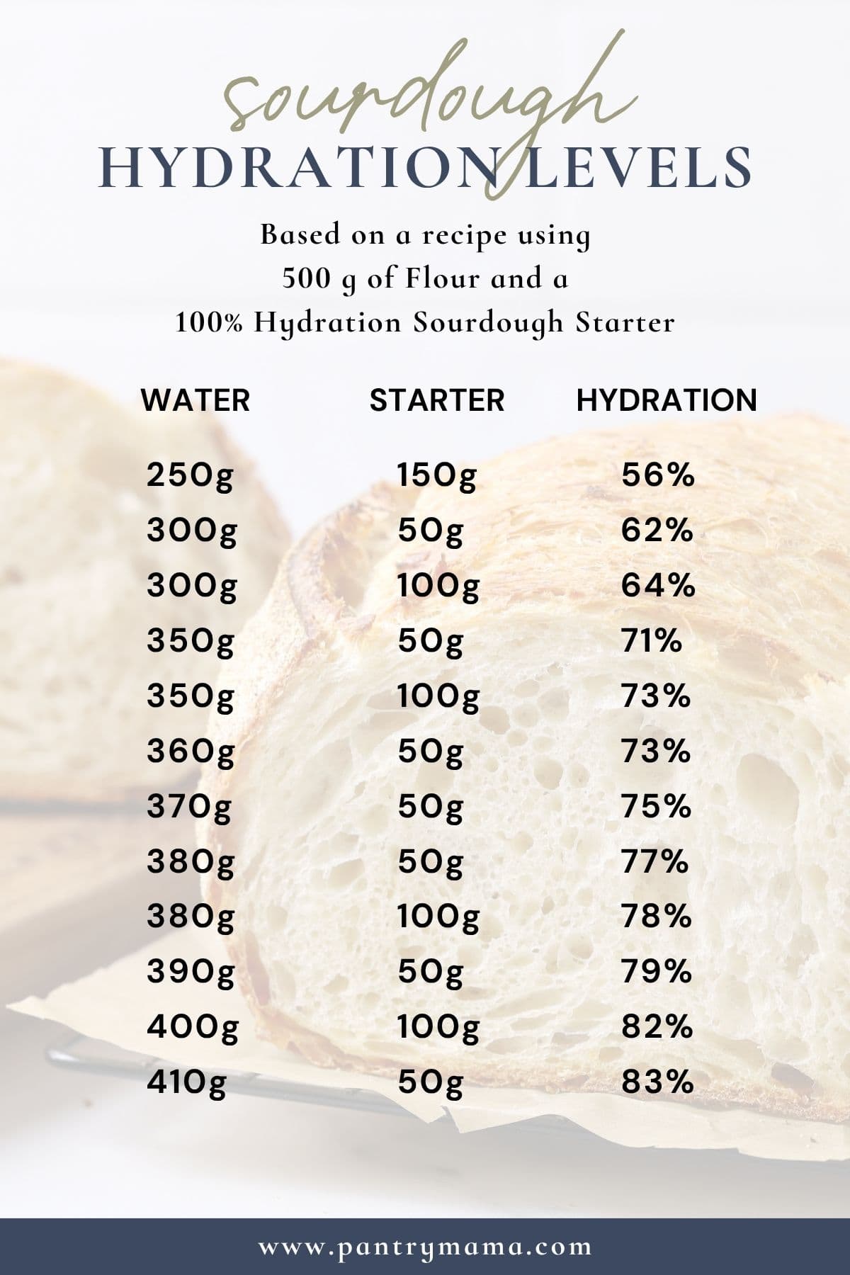 Infographic detailing Hydration Levels in Sourdough Bread.