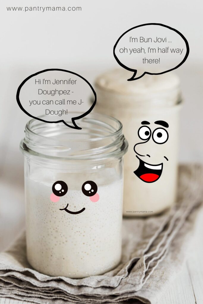 Best Sourdough Starter Names - Over 80+ starter names including celebrity sourdough starter names