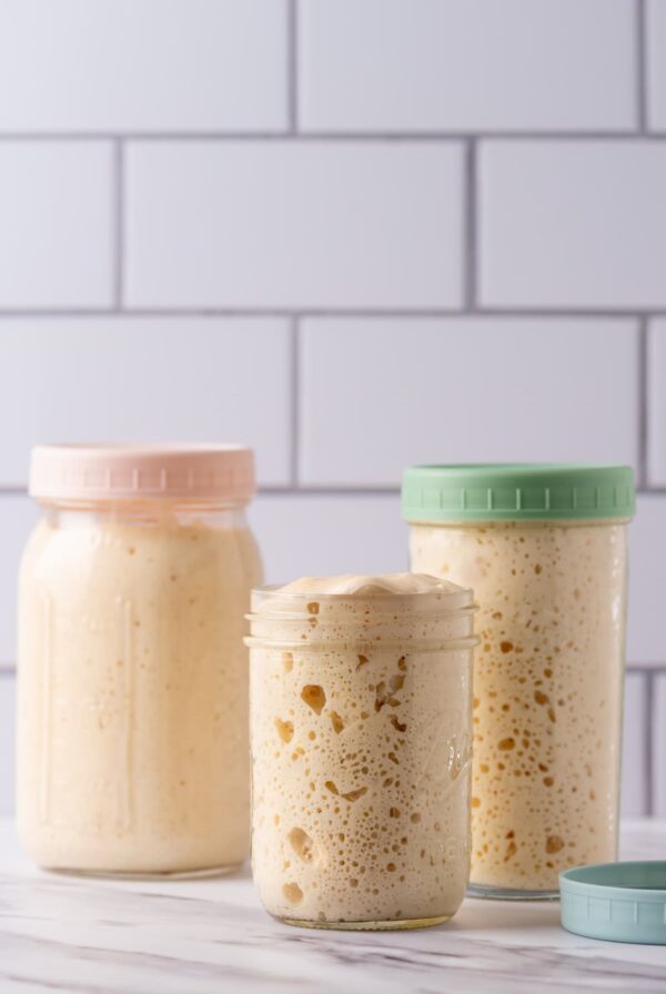 2 jars of sourdough starter sitting on a marble counter top. The jar on the left is a taller jar with a pale pink lid. The jar on the right has a green lid. The jar at the front doesn't have a lid but the starter is peaking over the rim of the jar.