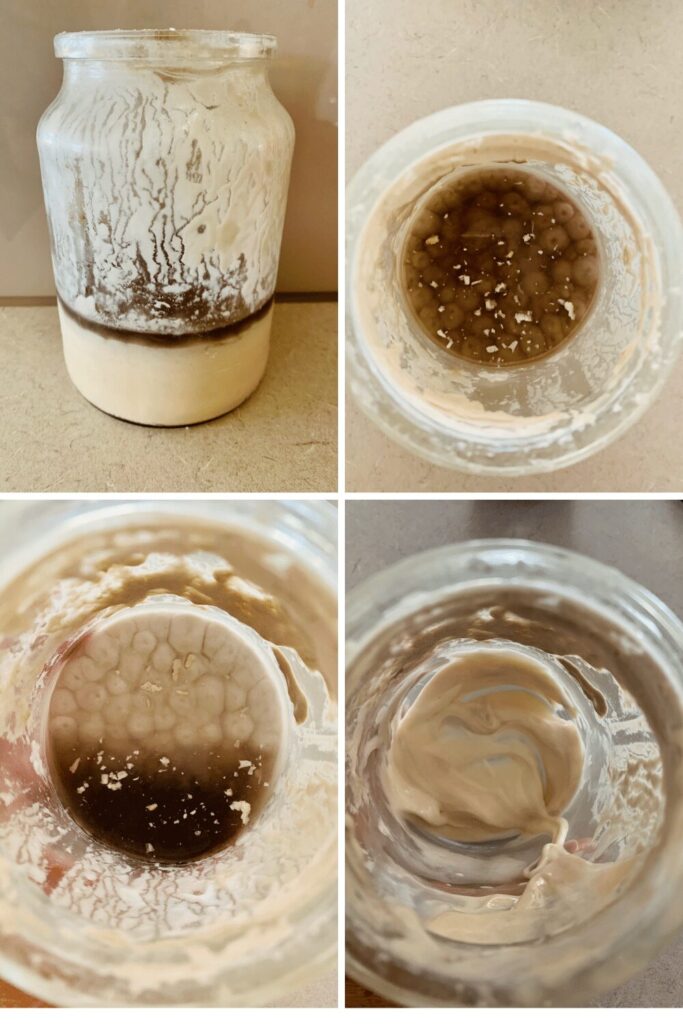 Saving an old sourdough starter with layer of black hooch.