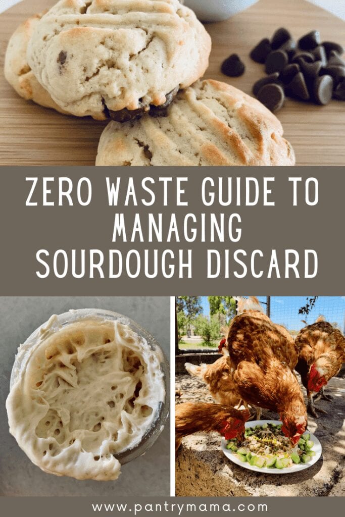 Sourdough Starter Management: A Zero-Discard Method – Breadtopia