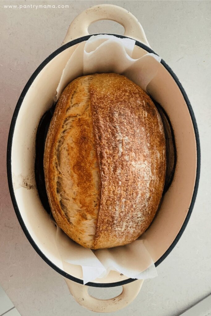 Whole Wheat Rye Sourdough Recipe