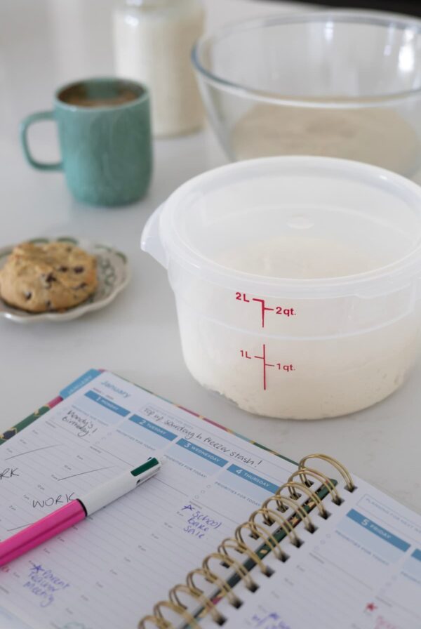 A vertical image of a planner open to a page showing a few appointments. There is a also a cambro container filled with sourdough dough. In the background of the photo, you can see a green coffee mug, chocolate chip cookie and a bowl of dough.