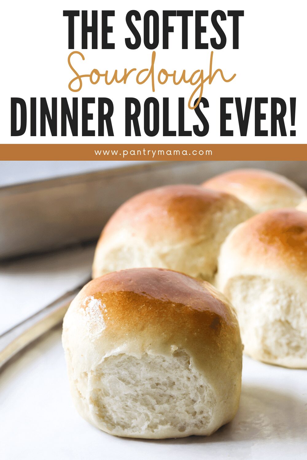 Sourdough Dinner Rolls Recipe - The Pantry Mama