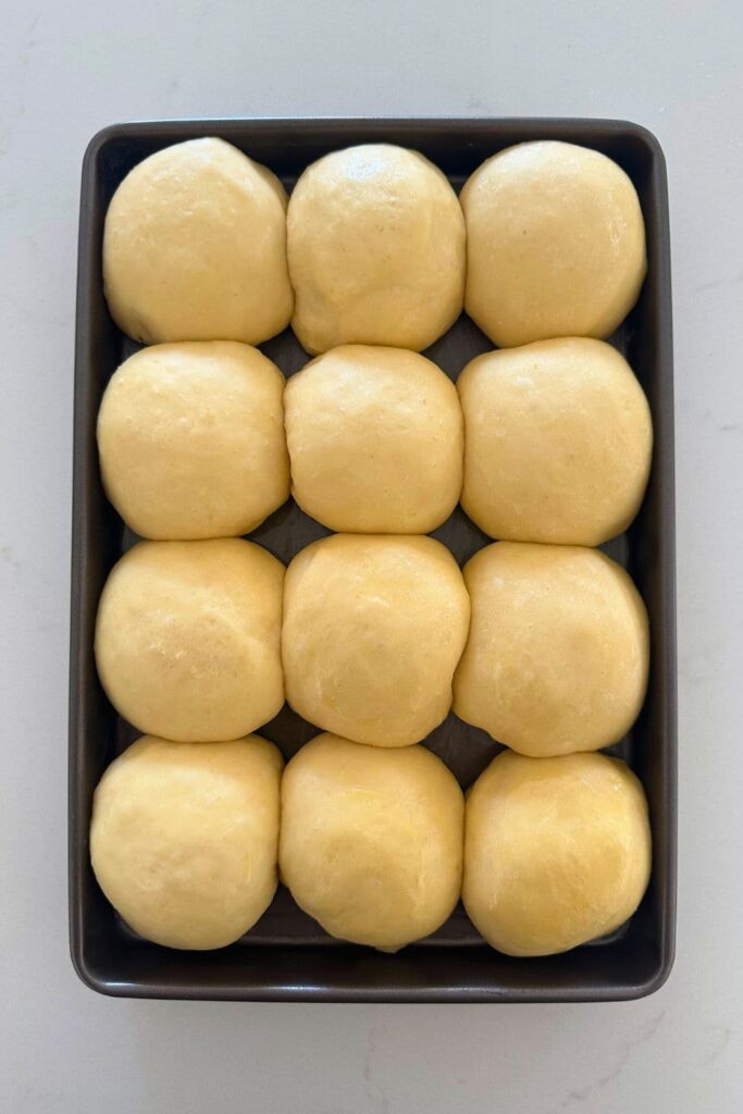 12 sourdough Hawaiian rolls sitting in an 8" x 12" tray. The rolls have been allowed to proof and are nice and puffy.