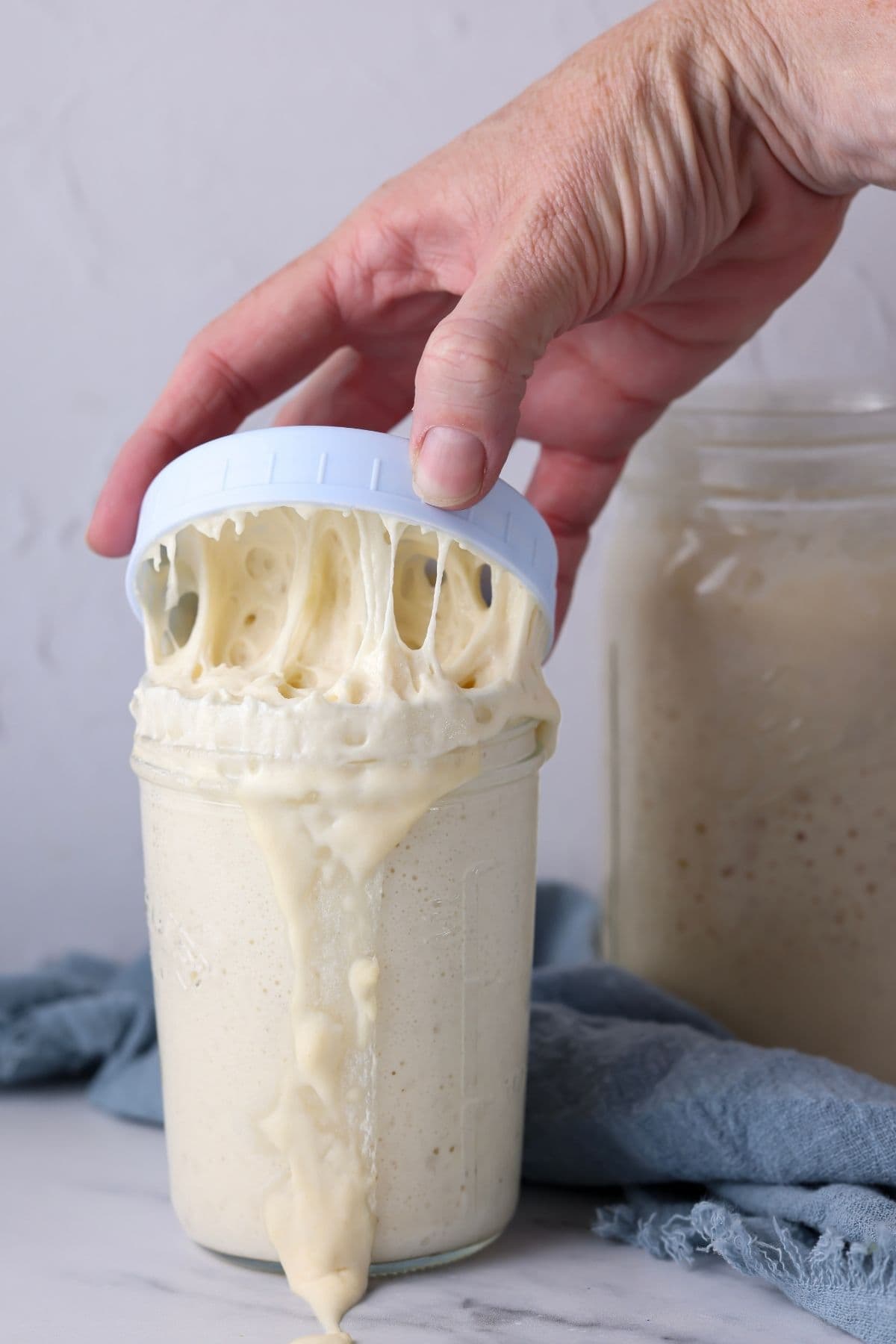 A 16 oz jar of sourdough starter that has a blue lid that is being lifted off. There is bubbly sourdough starter oozing down the sides of the jar.