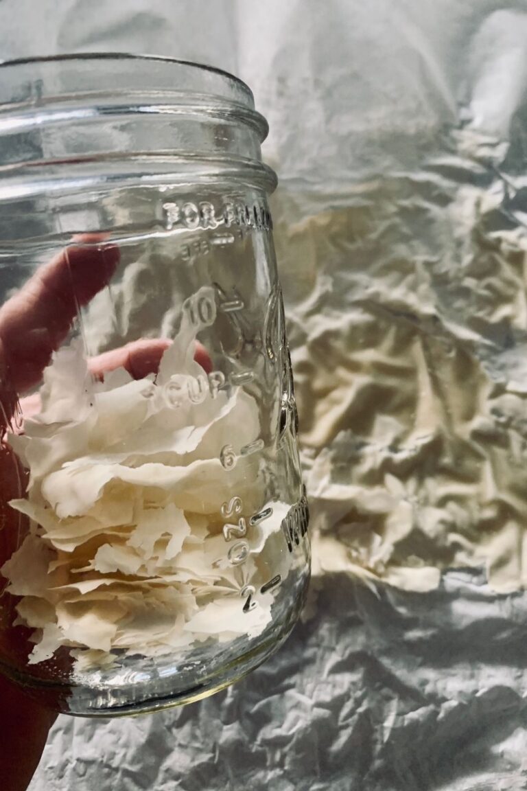 Dry sourdough starter