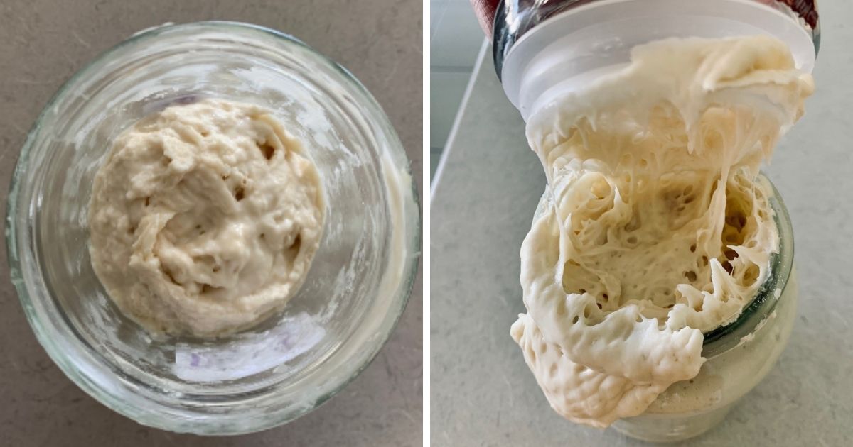 How To Store Sourdough Starter In The Fridge - The Pantry Mama