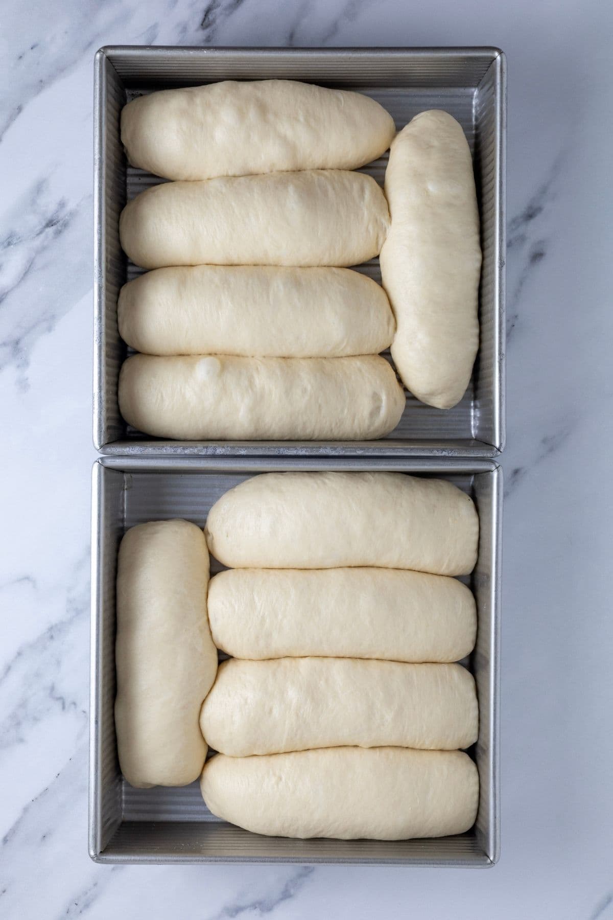 2 USA Pan Square Pans with 5 sourdough hot dog buns in each. This photo is taken after bulk fermentation so the dough is touching each other.