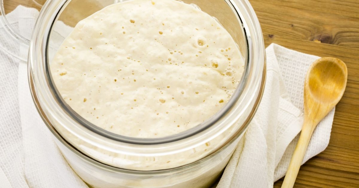 Moldy Sourdough Starter [with photos of bad sourdough starter