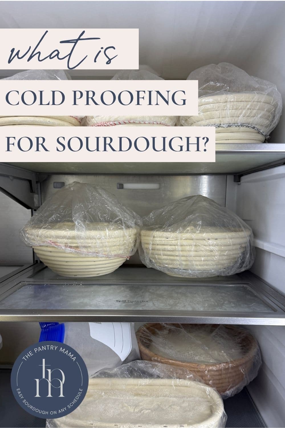 Sourdough Cold Proofing Tips - Pinterest