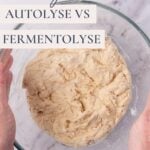 Autolyse vs Fermentolyse - Pinterest Image