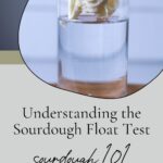 Understanding the sourdough float test - Pinerest Pin