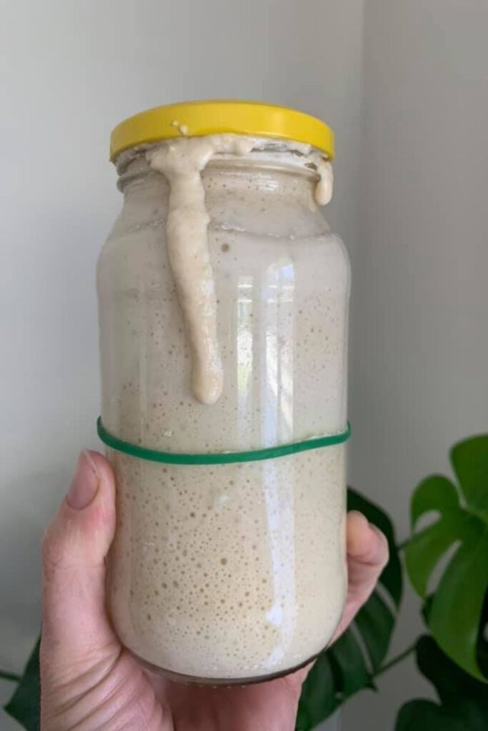 https://www.pantrymama.com/wp-content/uploads/2021/11/WHEN-IS-SOURDOUGH-STARTER-READY-TO-BAKE-WITH-1-683x1024.jpg