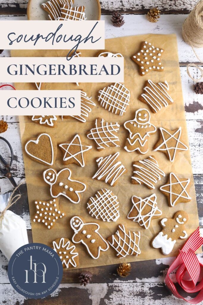 Sourdough gingerbread cookies - Pinterest Pin