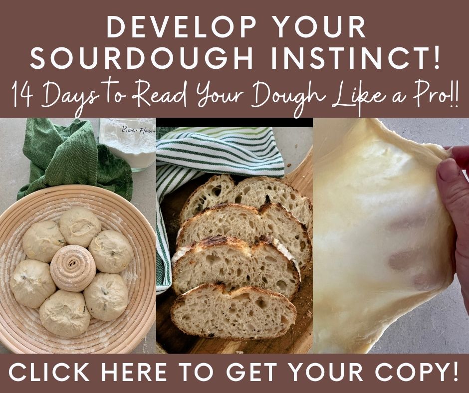 What Went Wrong With Your Sourdough?