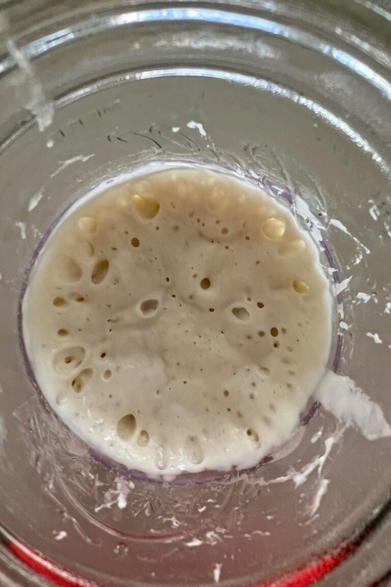 Have I Killed My Sourdough Starter?