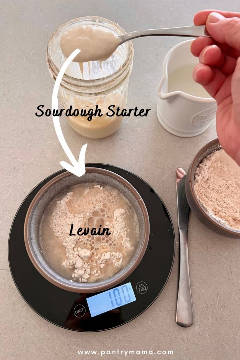 Differences between a levain and a sourdough starter