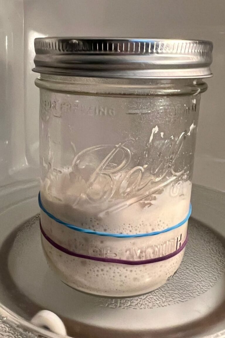 Best jar for sourdough starter - Ball Jar with silver lid has half volume of sourdough starter. There are two elastic bands showing the levels of the sourdough starter in the jar.