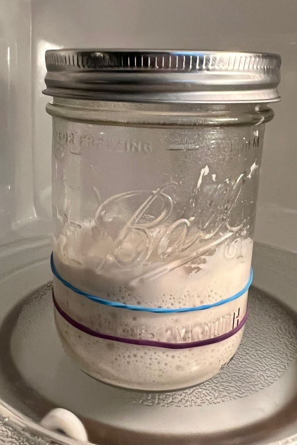 Best Jar For Sourdough Starter [guide to sourdough starter containers ...