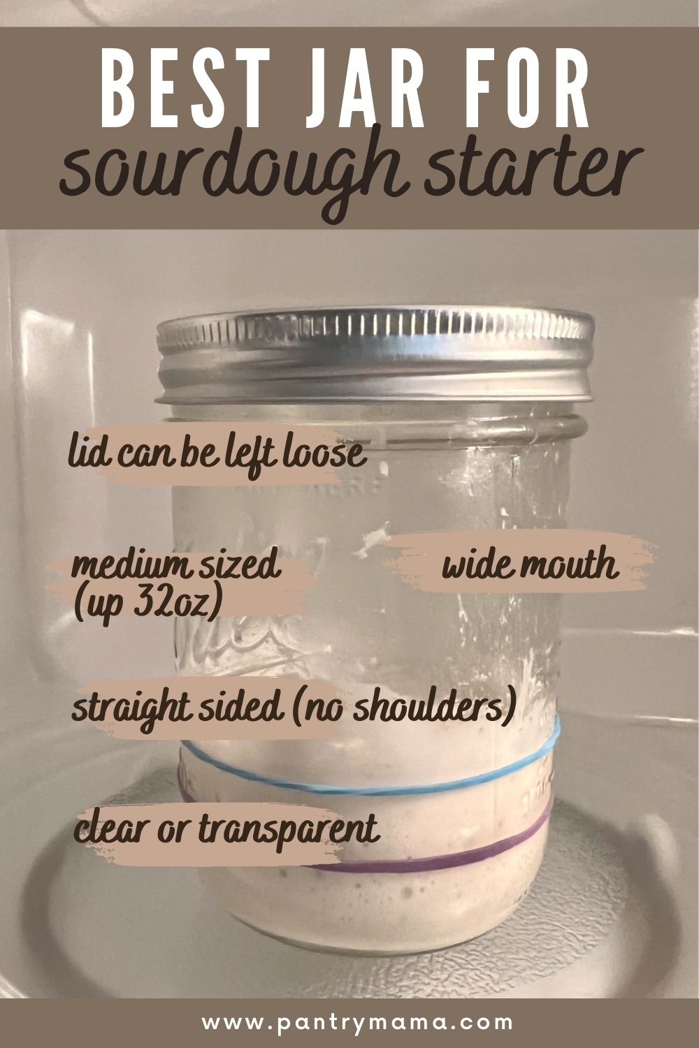 Best Jar For Sourdough Starter [guide to sourdough starter containers