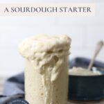 How to feed a sourdough starter - Pinterest Pin