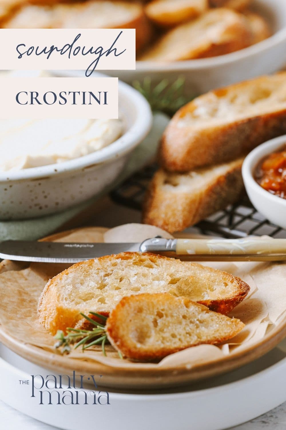 Sourdough crostini - PInterest Image