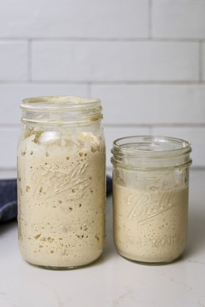 Two jars of sourdough starter standing side by side on a white kitchen counter. One jar is tall and the other jar is a little shorter. Both jars contain bubbly sourdough starter.