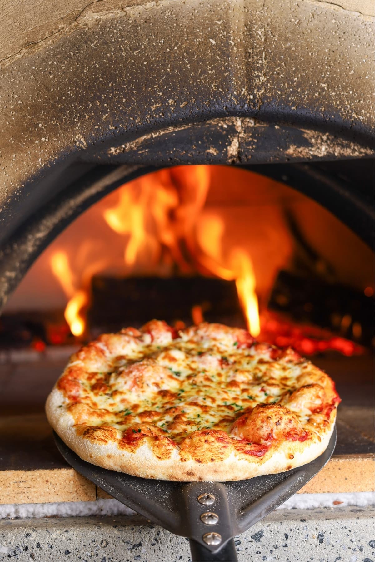 A sourdough discard pizza that has just been baked inside a wood fired pizza oven. You can see the red and orange flames behind the pizza.